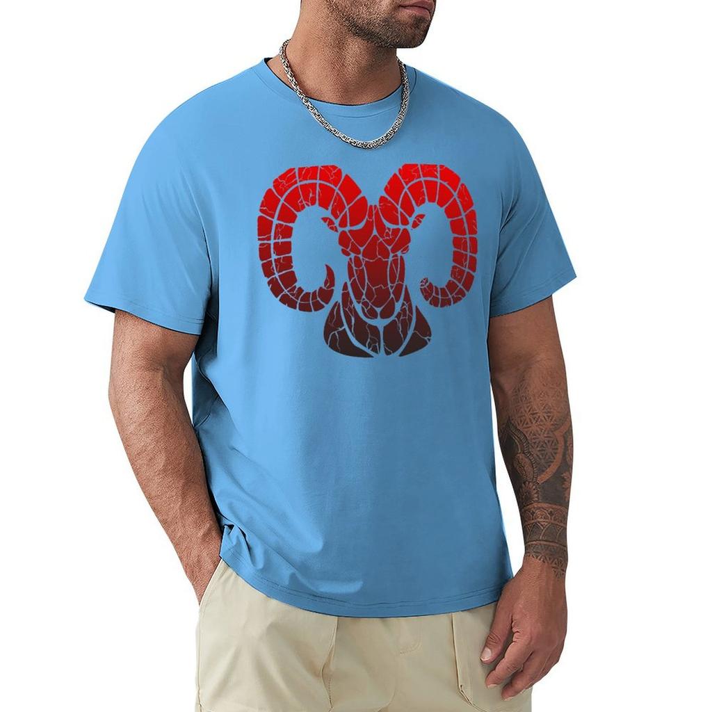 Aries T-Shirt Quick Drying Anime Stuff Plus Size Clothes Sweat Shirts, Men