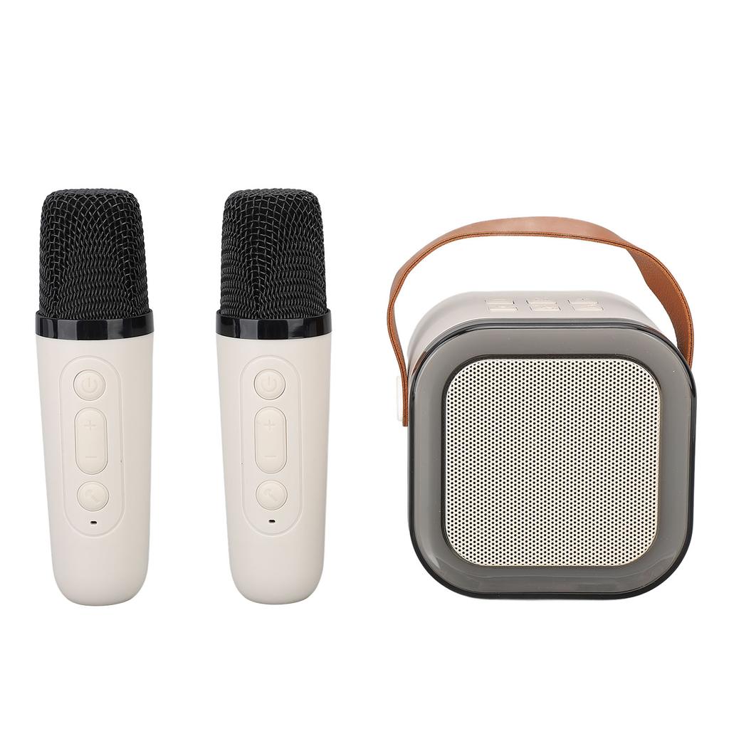 Tragbare Karaoke-Maschine Hervorragende Klangqualität Drahtloser Bluetooth-Lautsprecher mit 2 Mikrofonen für