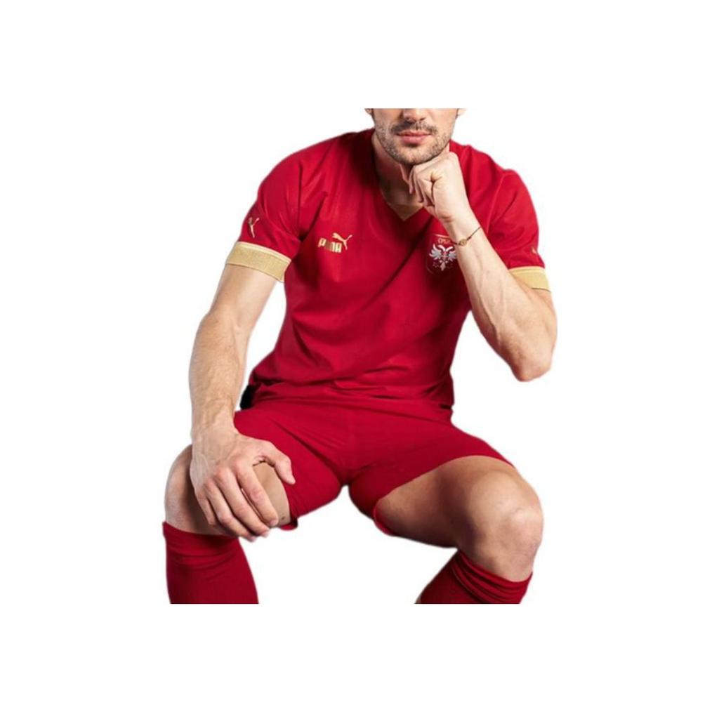 Puma 2022 Qatar World Cup Embroidered Logo Crew Neck Short Sleeve Soccer Jersey, Fan Edition, Serbia National Team, Home Men Tops 765760-01