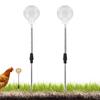 2pcs Chicken Swing Feeder Chicken Coop Pecking Toy Funny Hens Feeding Supplies Poultry Treat Dispenser for Boredom Busting