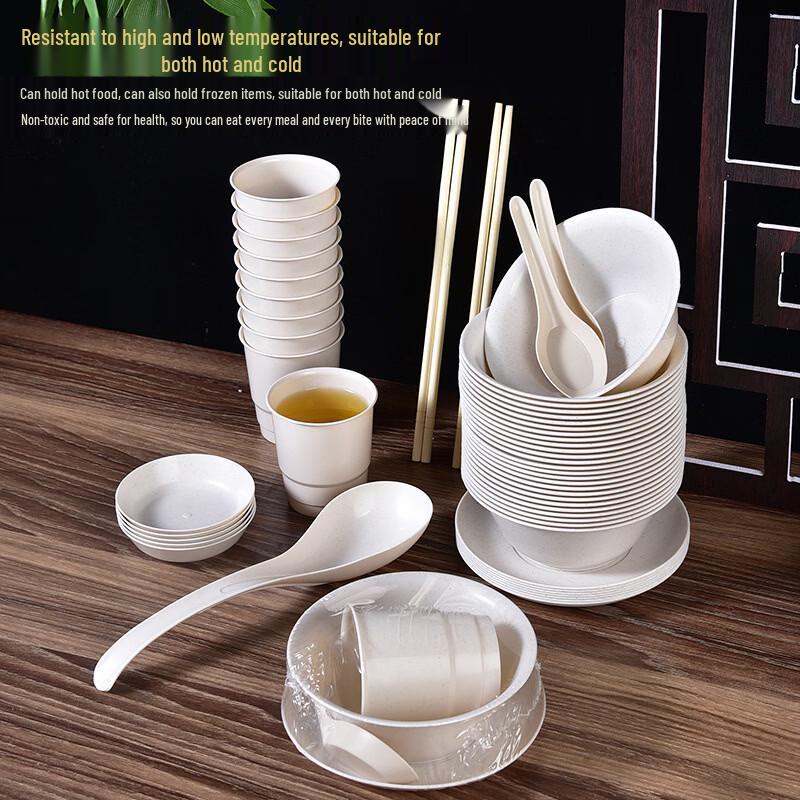 Eco-Friendly Rice Husk Disposable Tableware Set
