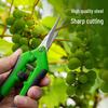 Multi-Use Pruning Scissors for Branches, Flowers, Vegetables, and Fruits