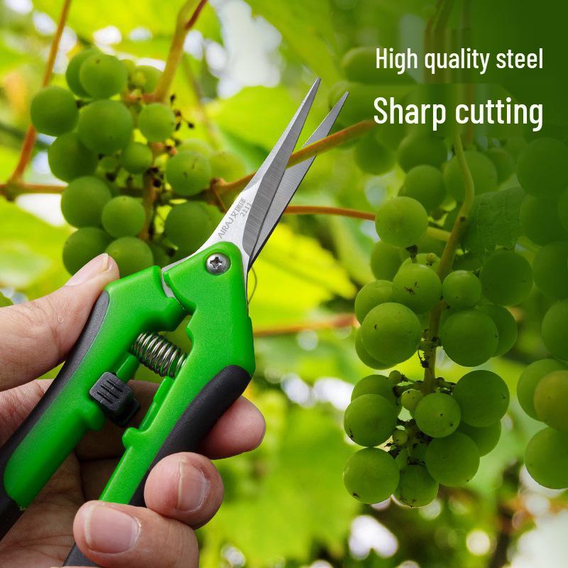 Multi-Use Pruning Scissors for Branches, Flowers, Vegetables, and Fruits