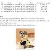 Letter Pattern Warm Dog Hoodie Cozy Soft Two-Legged Dog Clothing Comfortable Thicken Dog Hooded Sweatshirt Outdoor Walking