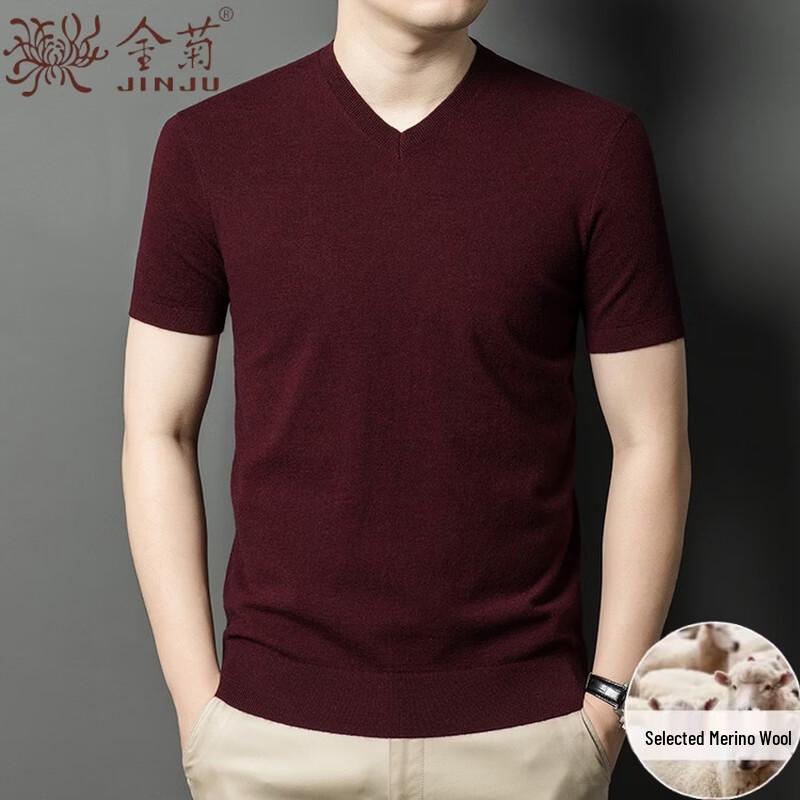 Jinju V-Neck Short Sleeve Worsted Wool Blend Sweater L