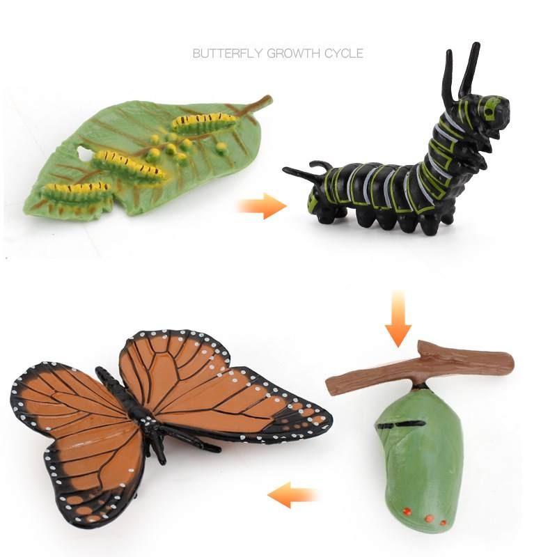 Animal Model Set Pvc Collectible Insect Bird Reptile Amphibian For Education And Display