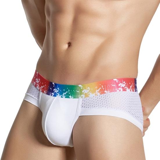 Men Briefs Soft Breathable Mesh 3D Pouch Elastic Fabric Panties Rainbow Waistband U-Convex Sport Underwear Daily