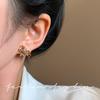 Color Zircon Pony Stud Earrings Female Sterling Silver Needle Explosion High-end Earrings Autumn and Winter Life Earrings Temperament