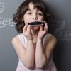 East Top Harmonica Blues Harmonica 10 Delikli Harmonica C Tonu 10 Delik 20 Ton Paslanmaz Çelik Kapak ABS Kasa Temiz Bez Son Derece Hava Geçirmez Uygun