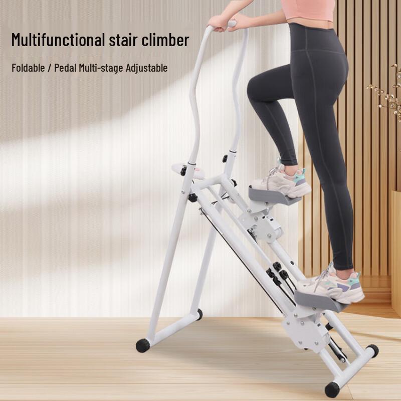 Longchan Multi-functional Stair Climber and Stepper