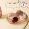 Zaposcca Hamster House, a hideaway for hamsters. This cute strawberry-shaped ceramic hamster hideaway can also be used as a decorative item. Easy to c