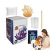 Easy To Grow Science Experiments Toy Grow a Crystal Crystal Making Kit  Kids