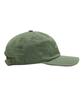 Amelikannideul Ballpark Cap Godzilla - Cedar