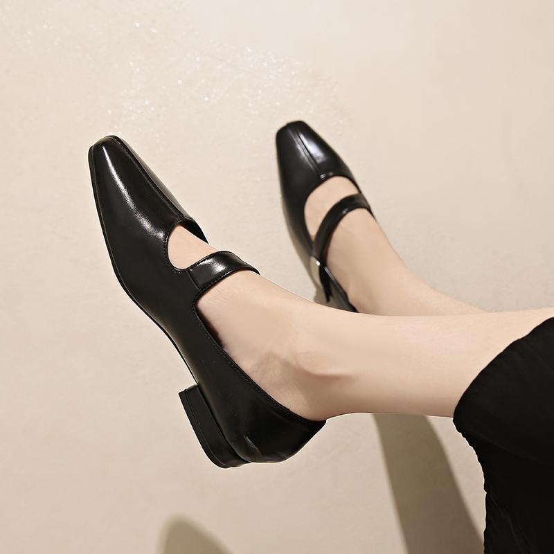 Spring and Autumn Square Toe Shallow Mouth Single Shoes Women's New French Retro Commuter Block Heel Mary Jane Shoes