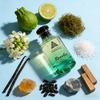 Niche Fragrance - Aquatic Fougère 100ml | Perfume For Women