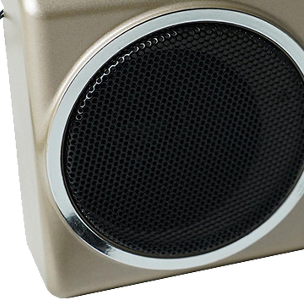 Portable FM Radio Multi Band USB Card Slot Rechargeable Vintage Retro Radio for Elderly Gold