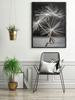 Picture, poster Framed 53x73 cm Dandelion P521
