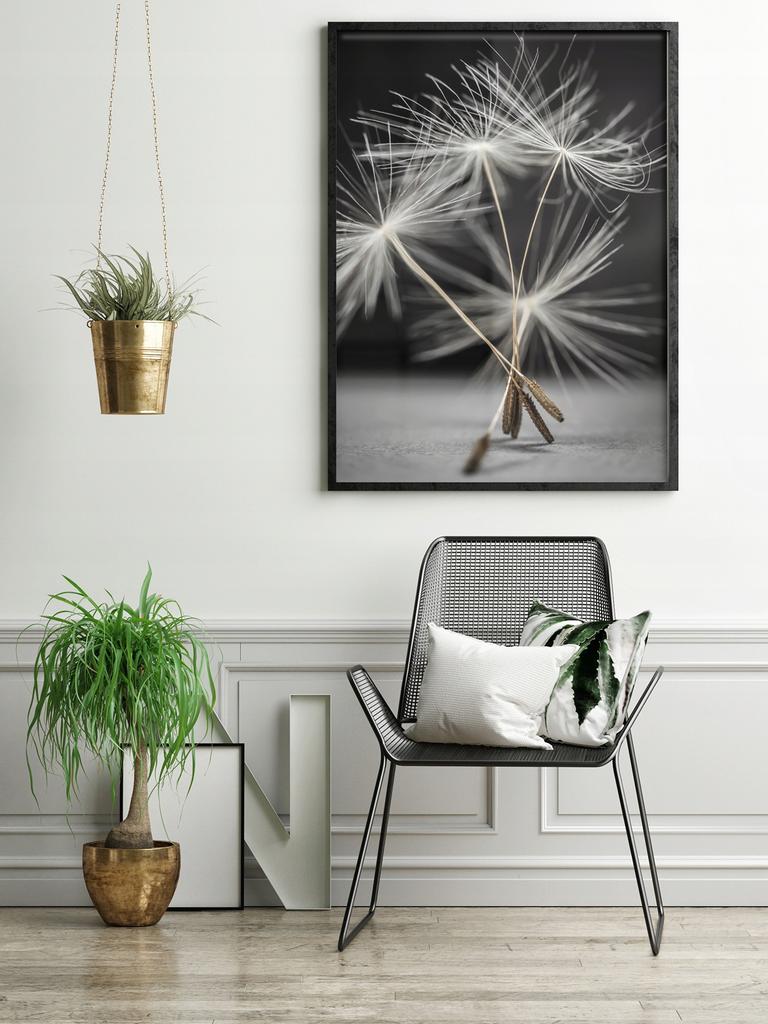 Picture, poster Framed 53x73 cm Dandelion P521