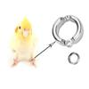 Fly Clip Anti-Lost for Pigeon Bird Leg Rings Bird Supplies Parrot Foot Rings Bird Leash Accessories