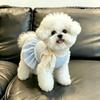 Vestito per Cane di Piccola Taglia a Quadri Blu Stile Principessa con Cravattino Misto Cotone Outfit per Cucciolo Bichon Frise Teddy