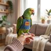 Adjustable Anti Slip Bird Harness Pet Supplies Parrot Flying Rope for Small Medium Large Lovebirds African Grey Cockatoo Macaw