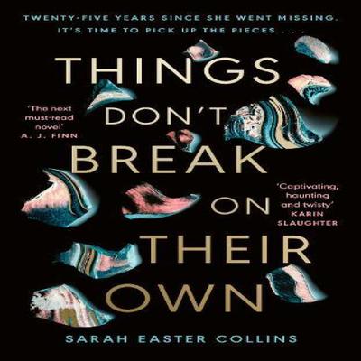 Things Dont Break On Their Own by Sarah Easter Collins Hardback Book 9780241640630