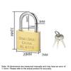 Copper Padlock Small Locks for Luggage Case Locker Home Improvement Hardware 20mm 25mm 30mm 40mm 50mm Include 3Keys 4