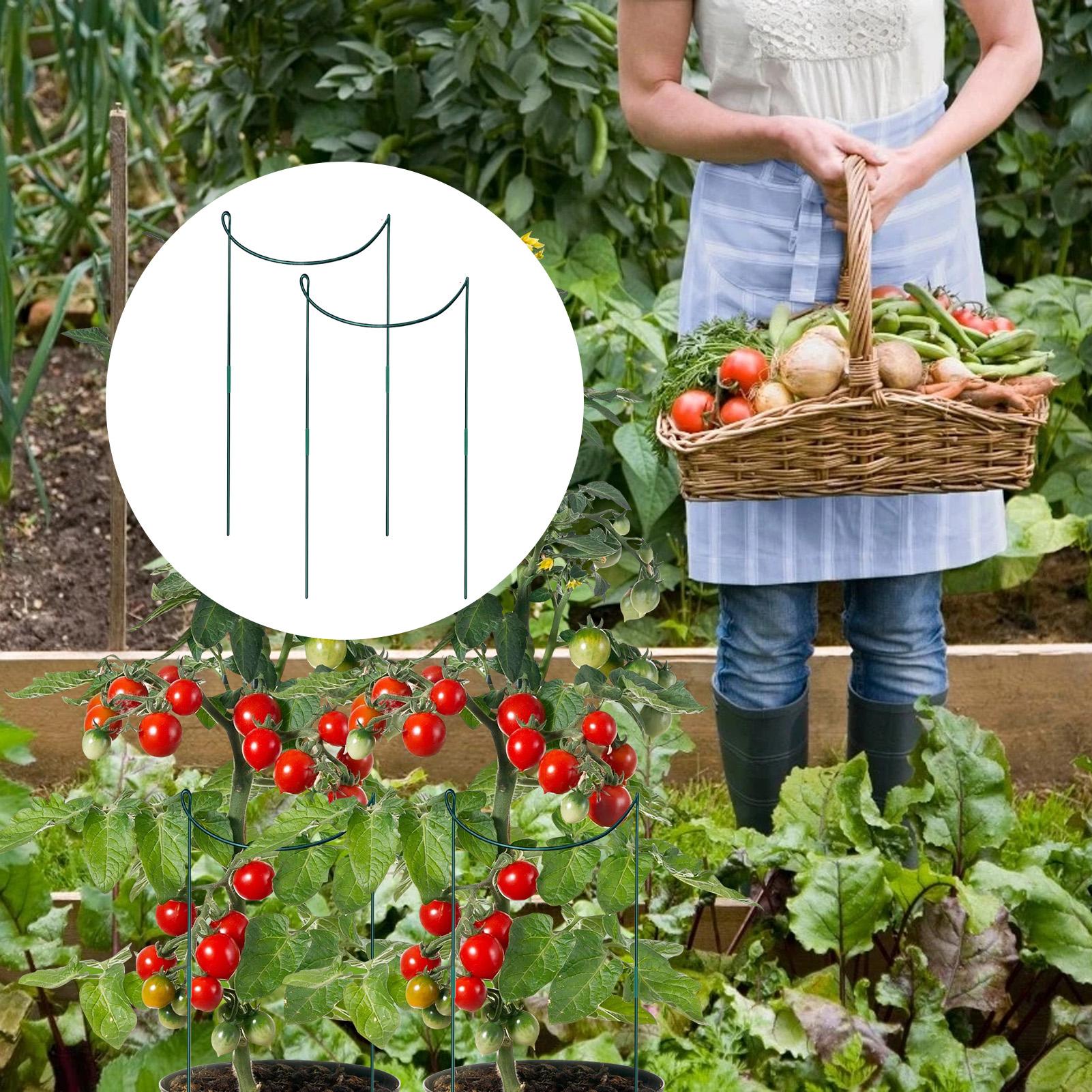 

Plant Stakes And Supports 6 Pieces Indoor Plant Support Rings For Flowers Rustproof Half Round Stem Holder Climbing Gardening CHINA