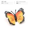 Simulation Of 16 Insects, Animal Models, Butterflies, Beetles, Spiders, Ants, Dragonflies, Cockroaches, Oxen Shields, Bugs, Static Ornaments