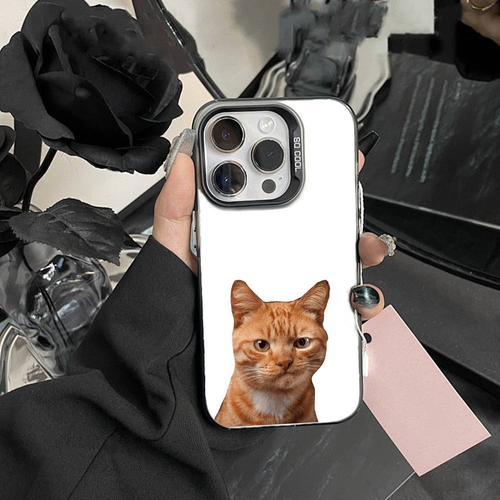 Goofy Cool Cats Big eyes Phone Case For iPhone 17,16,15,14,13,12,Pro MAX Black Matte Shockproof Cover