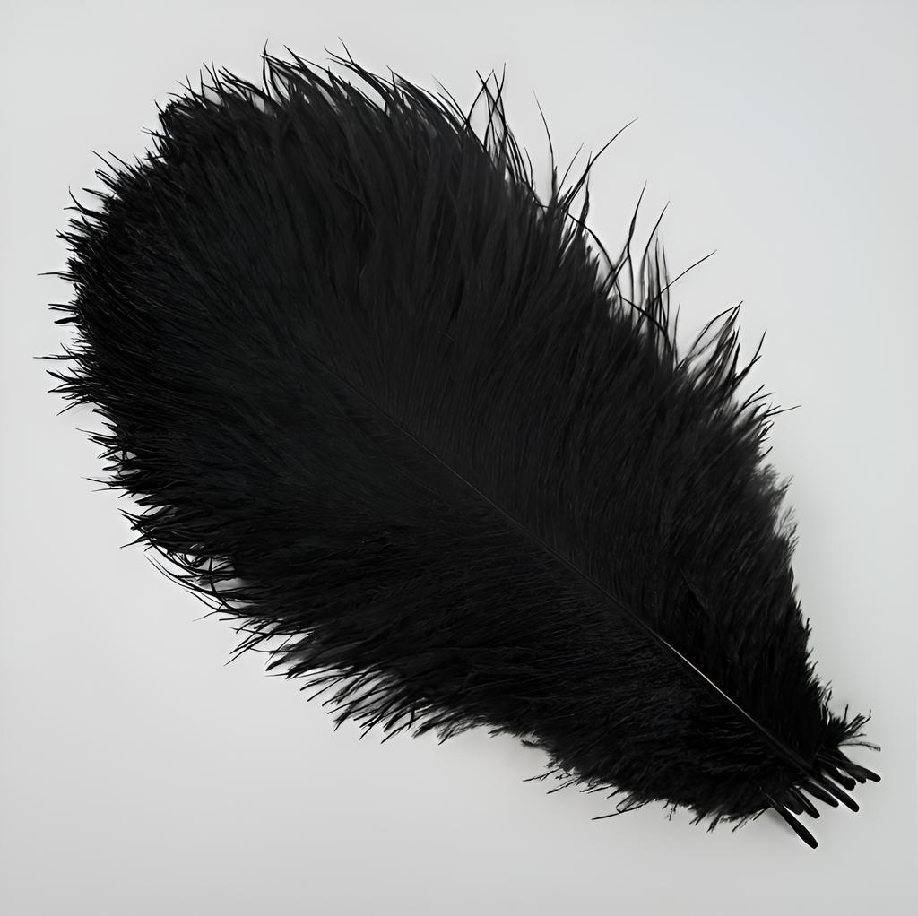 10Pcs Ostrich Feathers 10 15 Cm Trim Fabric Black White Plumas Small For Crafts Decoration Vases Centerpiece Flower Carnaval