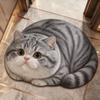Diatomaceous Earth 3D Cat Floor Mat 45×60CM Bedroom Door Rug Creativity Bathroom Carpet  Home Decor