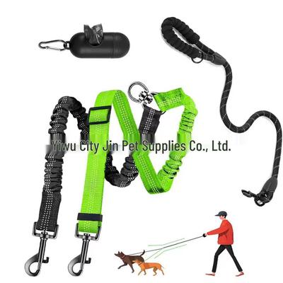 Perros – Collares y correas