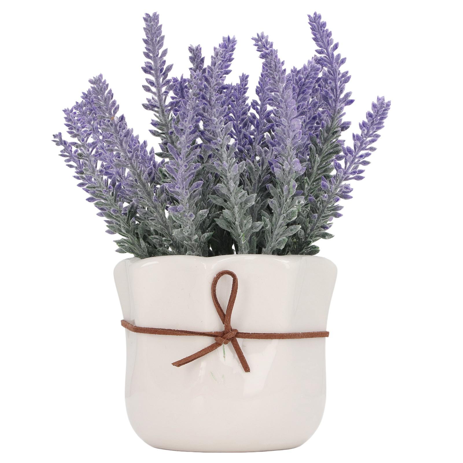 

Small Artificial Plants Pots PVC Simulated Potted Plants Ornament with Ceramic Vase for Home Living Room Bedroom Decoration