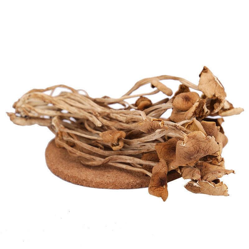 Funghi di Tè Essiccati 250g Agrocybe Cylindracea Erboristico Premium