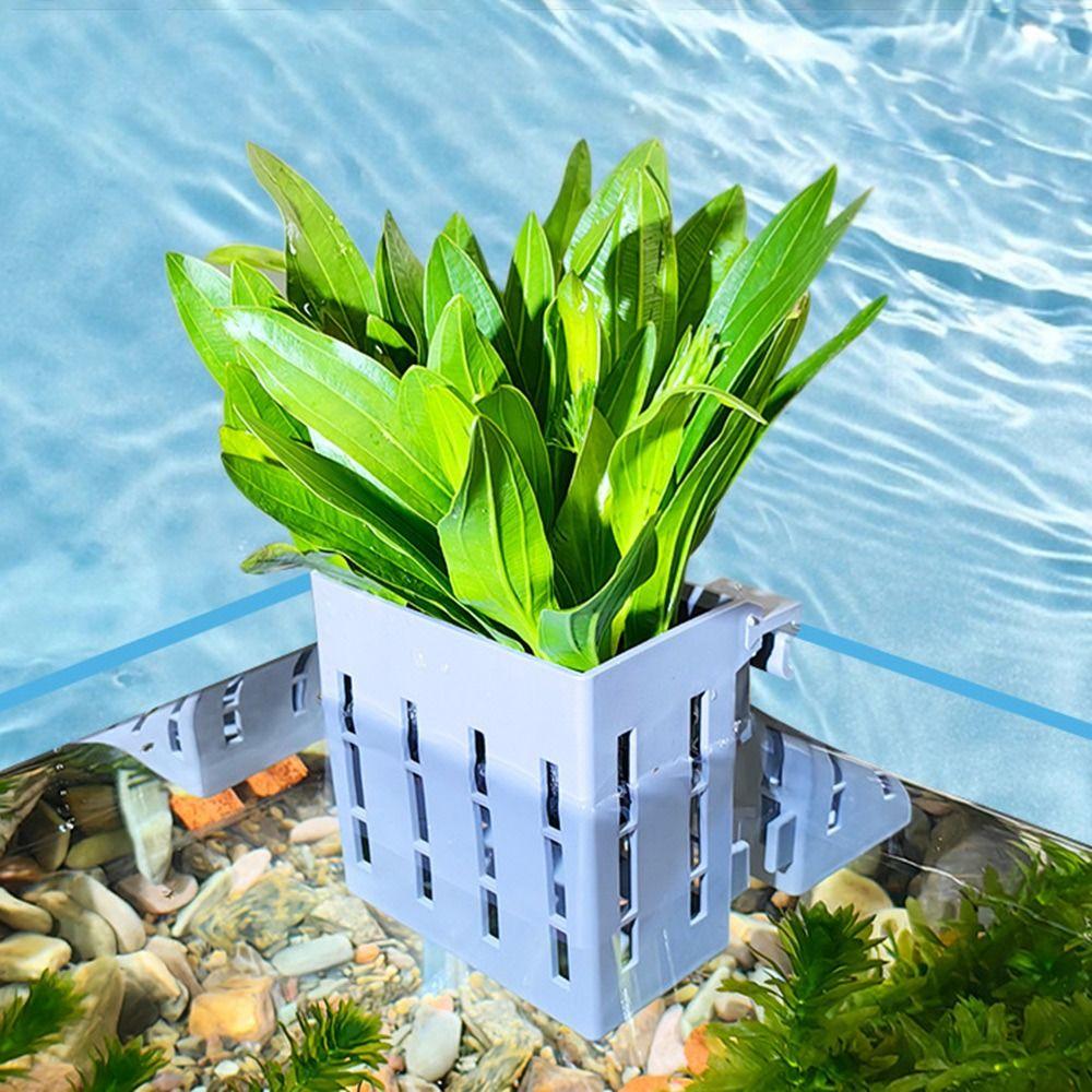 Glass Pot Fish Tank Hydroponic Planting Basket Planted Tank Aquarium Planter Cups  for Fish Tank