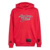 Bluza Manchester United Dziecięca JN2912