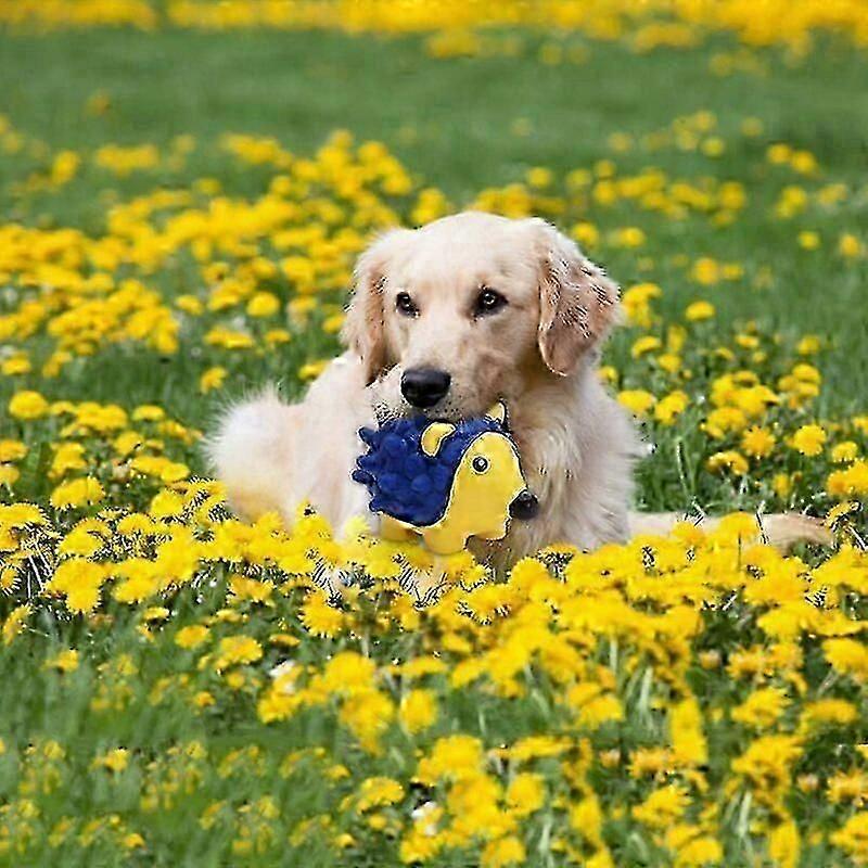 Dog Toy Interactive Toy, Dog Squeak Toys, Dog Toys Dog Squeaky Toy Sound Dog Toy Squeaky Toy Loves Dog Latex Toy Educational Toy Dog Chewing Toy (Hedg