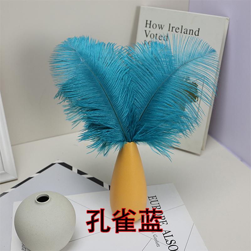 10 STÜCKE 20-25Cm Straußenfeder Bühnenauftritt Feder Handgefertigt DIY Schmuck Dekomaterial Straußenhaar