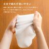 FSX Disposable Paper Towels 30x30cm 100 count VB-COSME- HAND&BODY (M)