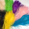 Dyed Peacock Feather 25-30cm for DIY Craft Vases Creative Hat Costume Party Wedding Carnaval Holiday Floral Decoration
