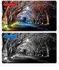 5-Screen Solar 360° Surveillance Monitor with No-Data HD Night Vision Camera