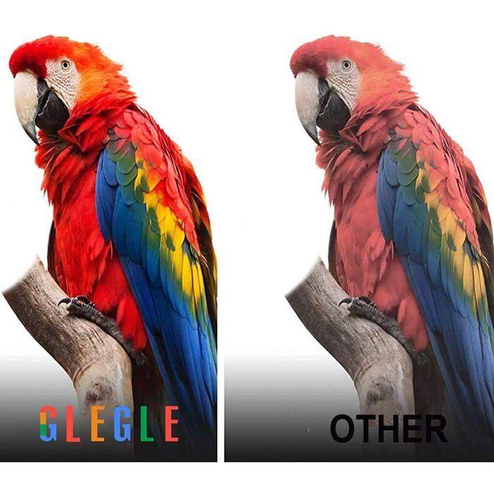 Cartouches d'encre - NEO LEGEND ARCADE CUSTOM - 29XL - Multi-couleurs - 15 pièces - Compatible Jet d'encre