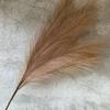 Artificial Phoenix Feather Tail Arrangement For Wedding Photo Props Decor Home