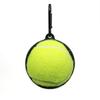 Portable Tennis Ball Holder Convenient Pet Ball Holder with Hands Free Dog Leash Attachment for Active Pets Easy Install