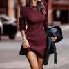 Fall Winter Crew Neck Long Sleeve Bodycon Knit Dress for Women