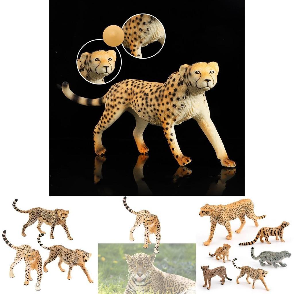 Statue Réaliste Faune Tête de Guépard Vers le Haut Léopard Nébuleux Léopard Africain Léopard Indien Collection Jouet 10*2.5*6.5cm)