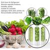 Vanilla Crisper Vegetable Crisper for Storage Vegetable Crisper Cup Asparagus Crisper Refrigerator Kitchen Gadgets