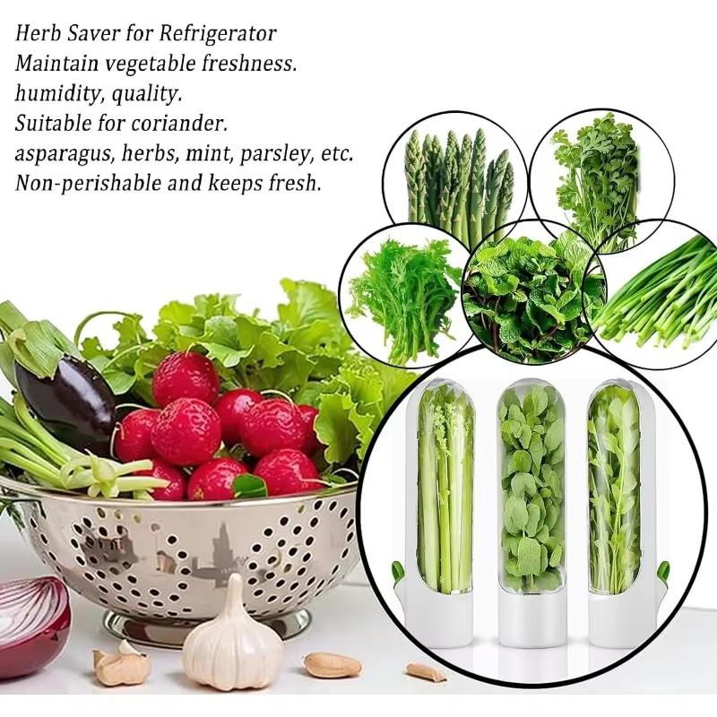 Vanilla Crisper Vegetable Crisper for Storage Vegetable Crisper Cup Asparagus Crisper Refrigerator Kitchen Gadgets