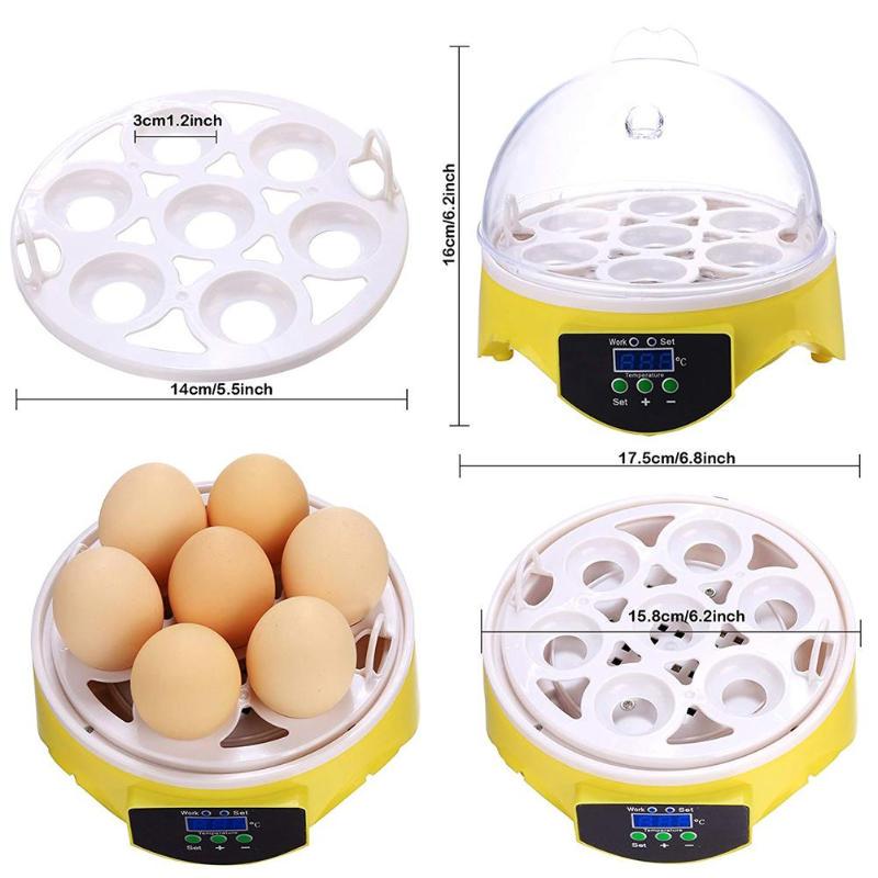 360 Degree View Blue Mini Egg Brooder Hatcher for Chickens Pheasant Quail and Birds Incubator